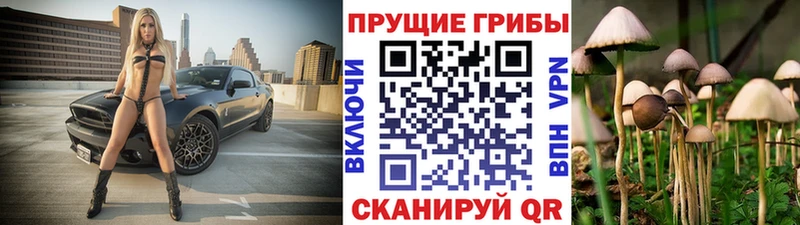 Псилоцибиновые грибы мицелий  как найти   Моршанск 