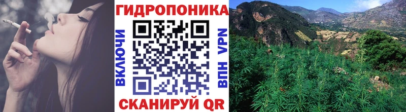 Бошки Шишки VHQ  Моршанск 